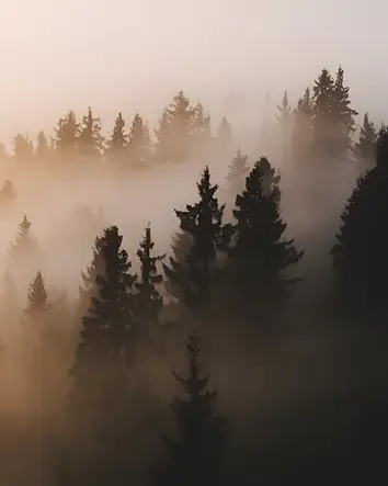 story-image